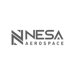 Nesa